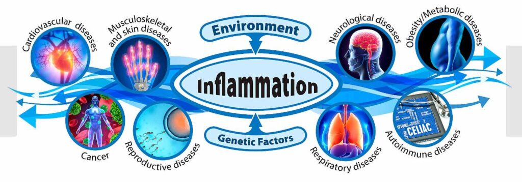 Chronic Inflammation and Disease Image source: NIEHS SaferCures.com