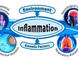 Chronic Inflammation and Disease Image source: NIEHS SaferCures.com