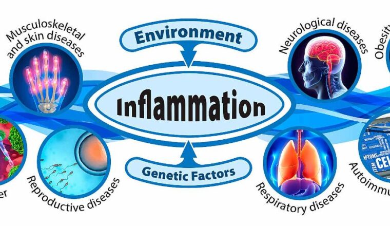 Chronic Inflammation and Disease Image source: NIEHS SaferCures.com