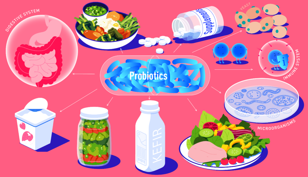 Gut Health and Nutrients Image Source: Atlasbiomed.com SaferCures.com