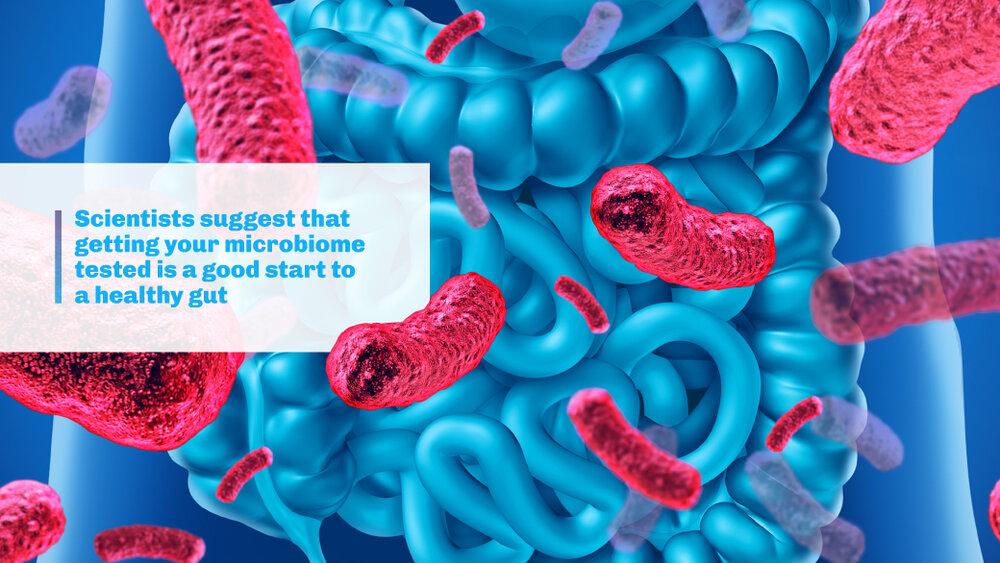 Microbiome Balance Improve Poor Gut Health Image Source: Millionmarker.com SaferCures.com