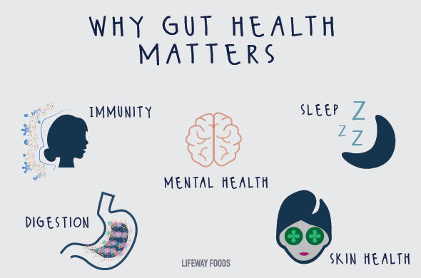 Why Gut Health Matters Improve Poor Gut Health Image Source: Bioxcellerator.com SaferCures.com