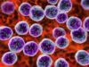 Cancer cells Cure for cancer SaferCures.com