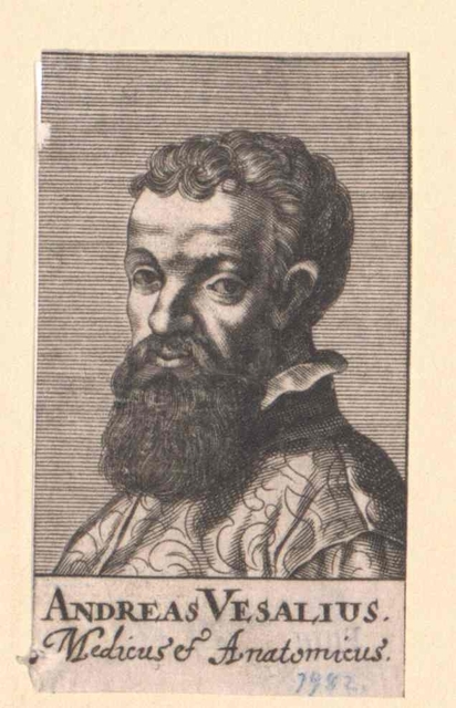 Vesalius, Andreas - doctor physician - Image Credit: Österreichische Nationalbibliothek Safercures.com