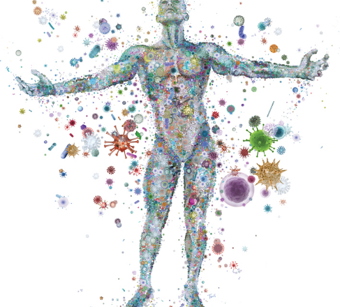 Your body is a complex, pulsing organism Source: Fueledbyscience.com Safercures.com