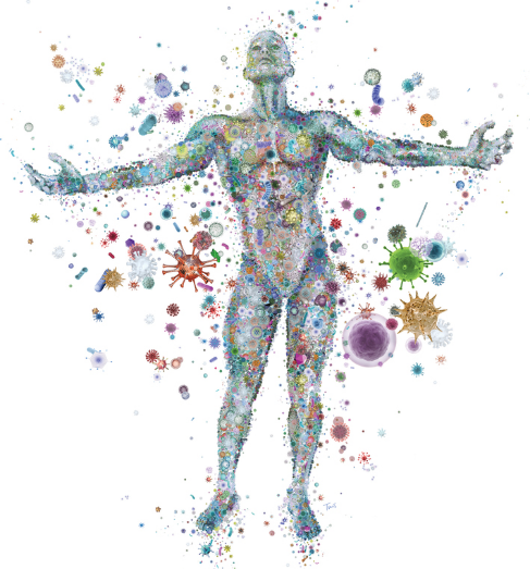 Your body is a complex, pulsing organism Source: Fueledbyscience.com Safercures.com