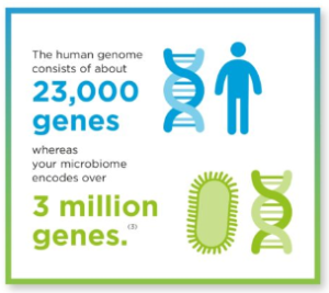 Microbiome Genes Source: Gutmicrobiotaforhealth.com Safercures.com